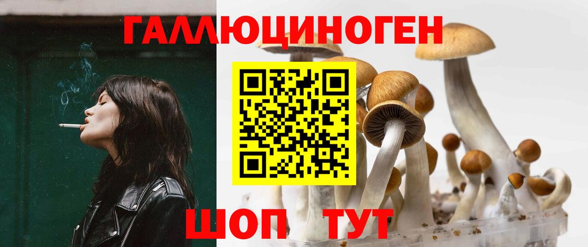 Галлюциногенные грибы мицелий  Галлюциногенные грибы Psilocybe  Анжеро-Судженск  Вход с VPN 